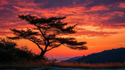 Wall Mural -   A tree in the foreground with a red sky and a sunset in the background