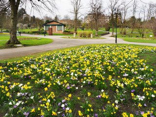 Spring Flowers in Valley Gardens Harrogate, United Kingdom, United Kingdom