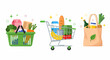 © Anita - Fresh groceries in basket cart and bag illustration vector