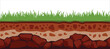 © Nass Studio - Soil layers surface horizons upper earth structure mixture of organic matter minerals. Dirt underground clay layer under green grass.