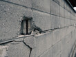 © Akio Mic - ひび割れが入ったブロック塀　地震