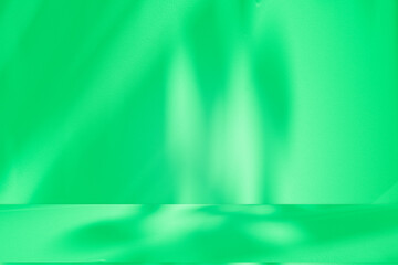 Poster - Wall interior background, studio and backdrops show products. with leaf shadow from window color green and white. background for text insertion and presentation of product	
