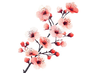 a beautiful pink flower with a white center