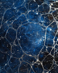 Exploring intricate web patterns abstract art digital creation cosmic environment macro viewpoint