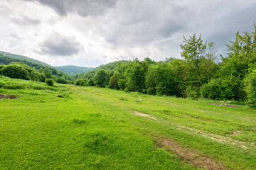 Wall Mural - countryside landscape in mountains. cloudy weather. grassy meadow and forest on the hill in summer