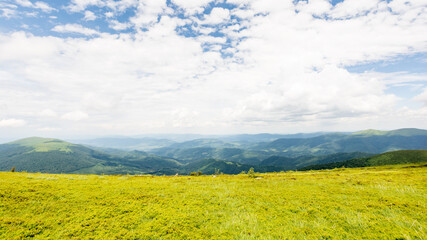 Wall Mural - alpine meadow of mountain smooth in summer. beautiful view of untouched natural environment. cloudy 