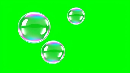 Wall Mural - Soap bubbles on a green isolated chroma key background