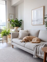 Aufkleber - Cozy Living Room With a Pet Dog Resting on a Couch Surrounded by Light Tones and Green Plants in a Spacious Atmosphere