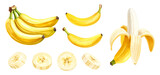 バナナの水彩画イラスト、セット素材