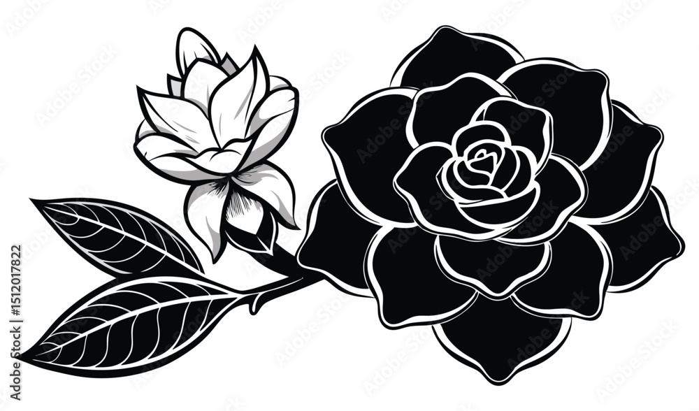Elegant black and white gardenia flower illustration Stock Vector ...