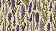 © hilwa - Illustrated lavender bouquet in vintage botanical style, cream background