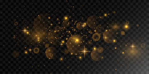 Christmas light effect. Sparkling golden magic dust particles.Vector illustration.EPS 10.