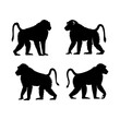 © Never Look Back - Silhouette depiction of four baboons in various poses against a white background showcasing primate forms