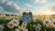 © john - Spring forward. Time change in spring. Daylight saving time. Alarm clock on beautiful nature background with green grass and white flowers meadow