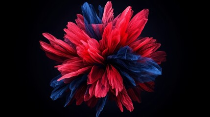 Poster - Red and blue flower with a black background. The flower is made up of many small red and blue petals