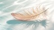 © Nataliya Selyutina - Light pastel-colored feathers floating gently on a white or cream background, airy and soft shadows, calm and poetic visual, perfect for wellness and calmness themes