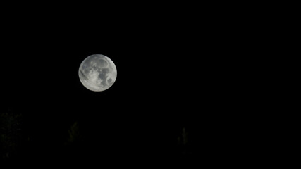 Wall Mural - A high-contrast, black and white image of a full moon against a dark, starry sky.