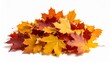 © RR 27 - Pile of autumn colored leaves isolated on white background