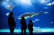 © Iuliia Sokolovska - Silhouettes of mother with kids in oceanarium, family with children looking at shark and fishes in aquarium