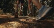 © Stock Pix - Forest runners speed through the trees. The dynamic shot emphasizes motion and nature in this fitness journey. Ground view. Forest path running