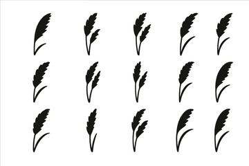 Leinwandbilder - Unique black silhouettes of grass-like plants arranged in a creative pattern on a white background during artistic design work