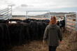 © Phoebe - female farmer on a farm. women in agriculture working hard in stock yards herding cattle to weigh cows. organic and free range livestock sustainable ranch, being grown on a farm in tasmania Australia.