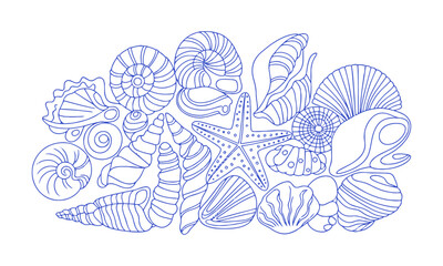 a modern vector-style collection of detailed seashell and marine illustrations, include a variety of