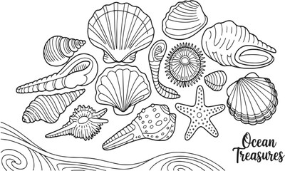 a modern vector-style collection of detailed seashell and marine illustrations, include a variety of