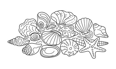 a modern vector-style collection of detailed seashell and marine illustrations, include a variety of