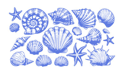 a modern vector-style collection of detailed seashell and marine illustrations, include a variety of