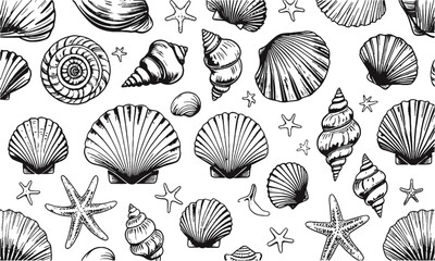 a modern vector-style collection of detailed seashell and marine illustrations, include a variety of
