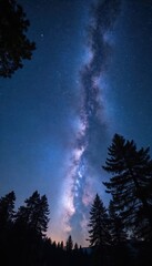 Aufkleber - Stunning view of Milky Way painting night sky. Stars glitter like diamonds. Awe-inspiring cosmos, galaxy with shining celestial bodies. Astral nebula above trees. Night astrophotography.