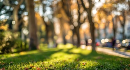 Autumn park perspective through trees with soft bokeh effect for website banners, mobile app interfaces, and eco-friendly brand campaigns. 