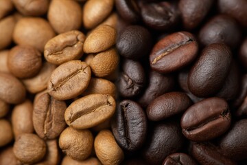 Aufkleber - Side by Side Comparison of Caffeinated and Decaf Coffee Beans Highlighting the Differences in Size and Color