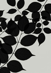 Wall Mural - silhouette branch leaves 2025-05-17 - elegant monochrome of leaves, symbolizing nature, simplicity, 