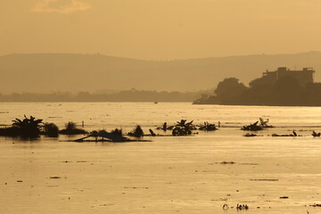 Wall Mural - Golden Mekong River and Sky Vientiane, Laos