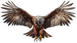 Majestic brown eagle in flight, wings spread wide, detailed feathers, wildlife nature scene, isolated on transparent background.