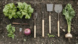 © GICU - A set of modern gardening tools laid out beside a vegetable plot