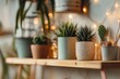 © Meenaxi - A shelf with various potted plants and decorative lights creating a cozy and inviting atmosphere indoors