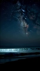 Wall Mural - Glowing waves under the starry sky on a quiet night beach