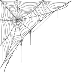 Wall Mural - vector illustration of a spider web, spider web line art vector eps