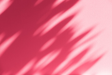 Leinwandbilder - Wall interior background, studio and backdrops show products.with shadow from window color pink background for text insertion and presentation interior decoration	