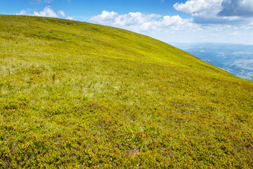 Wall Mural - green slopes of borzhava ridge in summer. scenic landscape of carpathian mountains on a sunny day