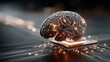 © gleb - Human brain placed on computer chip with glowing neural connections symbolizing artificial intelligence, machine learning and neural integration perfect for tech and science visuals