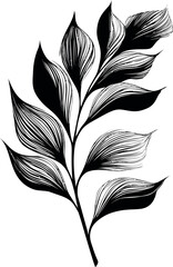 Poster - Illustration of a stylized black and white leaf with intricate lines. Vector illustration
