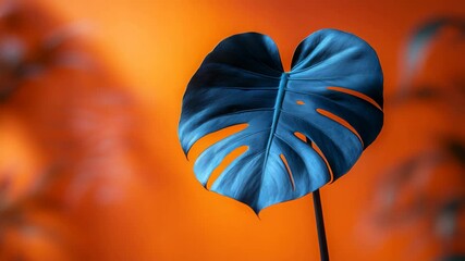 Aufkleber - Blue monstera leaf against vibrant orange background, botanical art concept