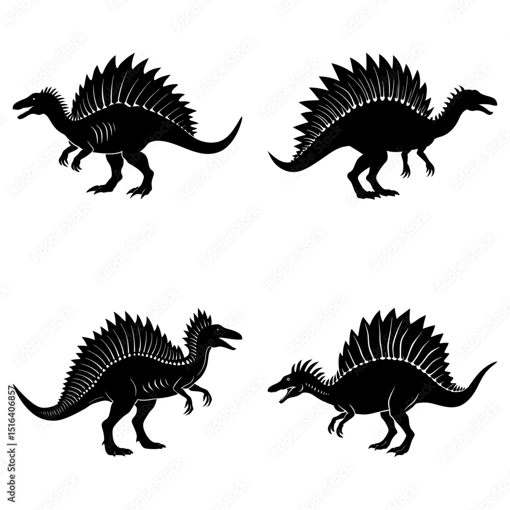 Four spinosaurus dinosaurs in black silhouette profile on a white ...
