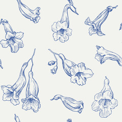Jacaranda tree flowers Toile art Floral vector vintage seamless pattern, blue beige. Hand drawn elements. Background for design packaging, textile, wrapping paper, wallpaper, Fashion apparel, wedding