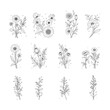 © NujuIkhtiar - Set of floral skull vector illustrations combining skeletons with decorative flowers