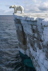 Wall Mural - Polar bear on icy cliff overlooking the Arctic ocean during wintry weather